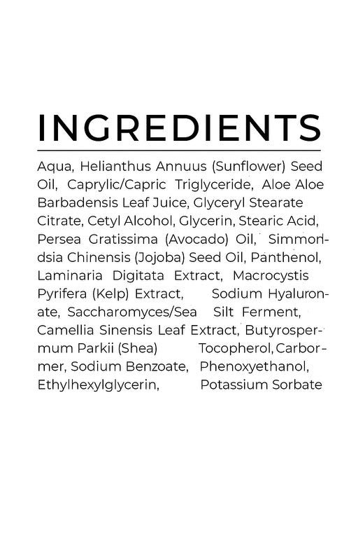 Sea Kelp Ocean Infusion Creme